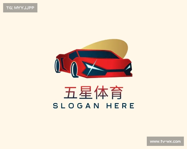 关于五星体育